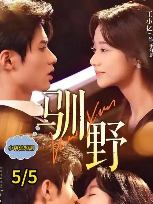 热播电视剧全集《风起南岸》全集免费在线观看